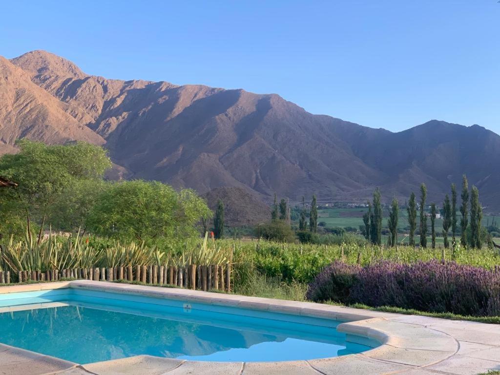 Miraluna Bodega Boutique Cachí Eksteriør billede