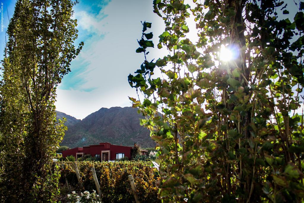 Miraluna Bodega Boutique Cachí Eksteriør billede