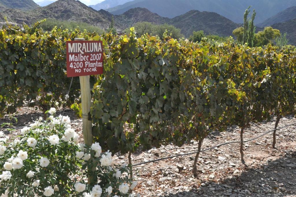 Miraluna Bodega Boutique Cachí Eksteriør billede