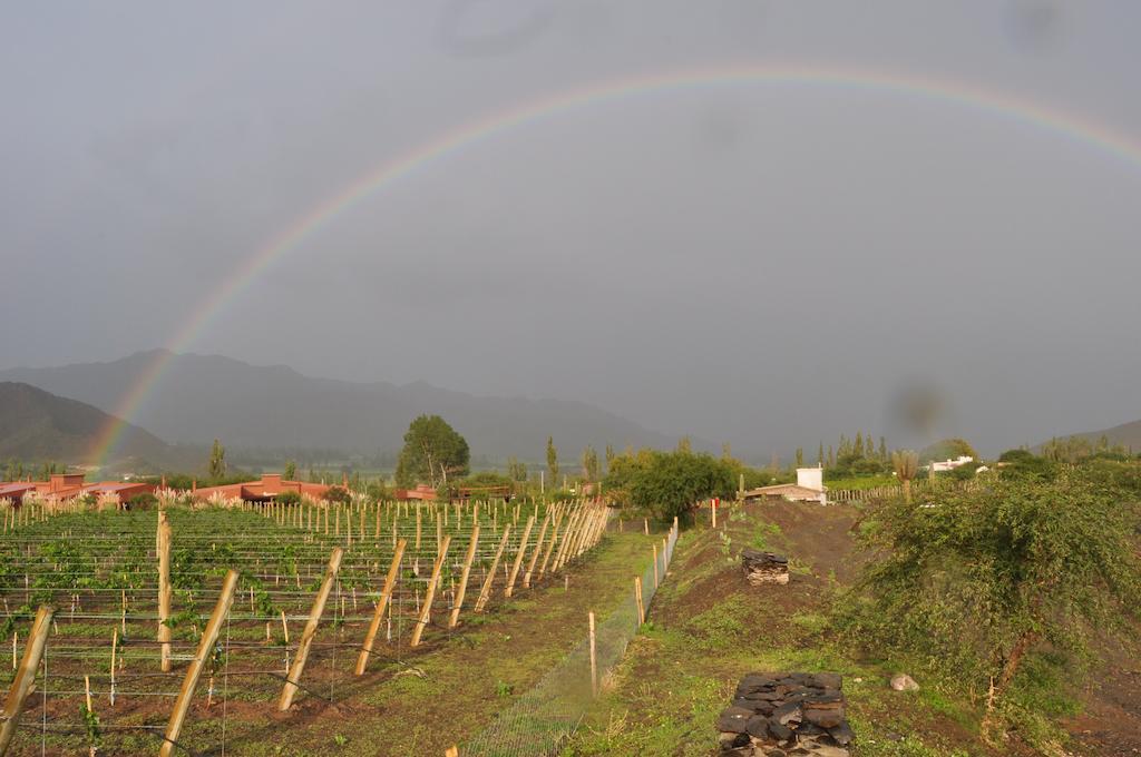 Miraluna Bodega Boutique Cachí Eksteriør billede