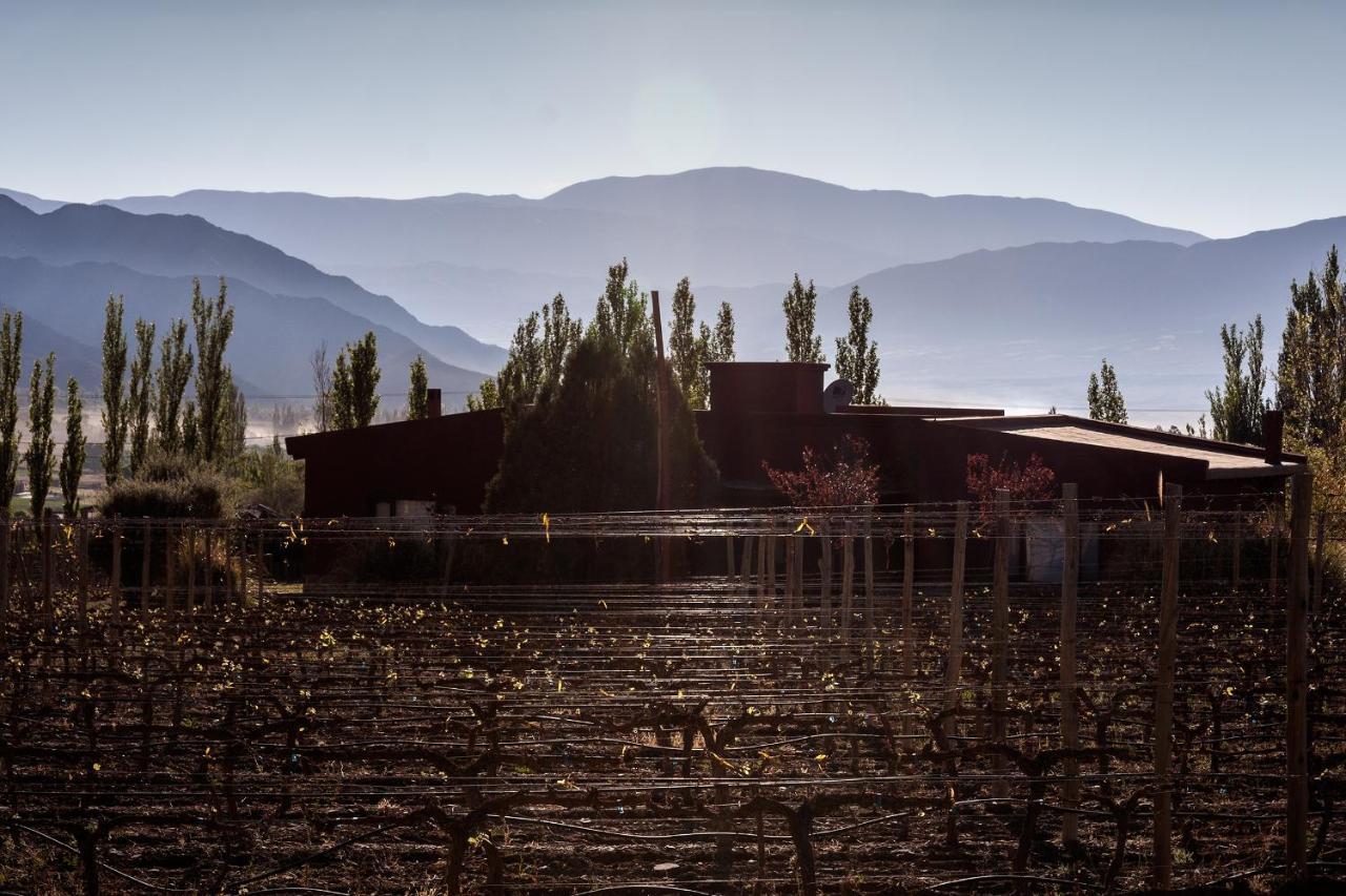 Miraluna Bodega Boutique Cachí Eksteriør billede