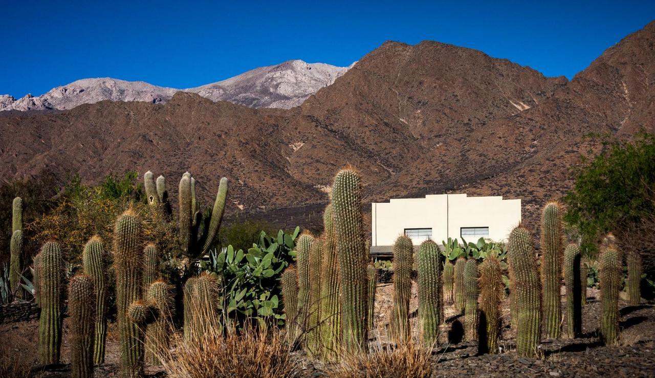 Miraluna Bodega Boutique Cachí Eksteriør billede